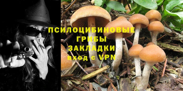 ешки Магадан