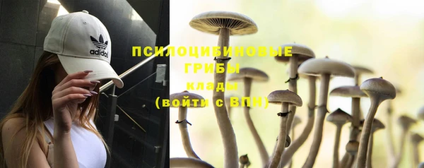 ешки Магадан