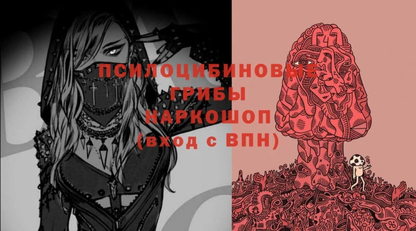 винт Магас