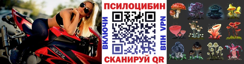Галлюциногенные грибы Cubensis  Томск 