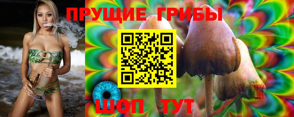 Галлюциногенные грибы Psilocybe  Псилоцибиновые грибы MAGIC MUSHROOMS  Томск 