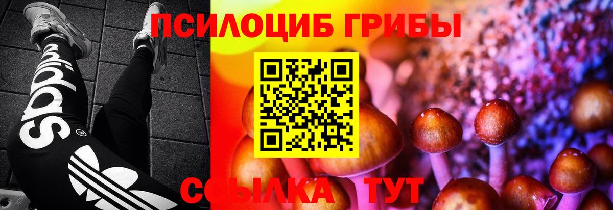 Галлюциногенные грибы мухоморы Томск