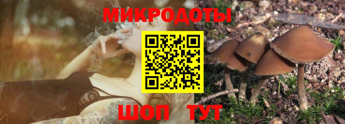 Томск  Галлюциногенные грибы Psilocybe  Вход с VPN 