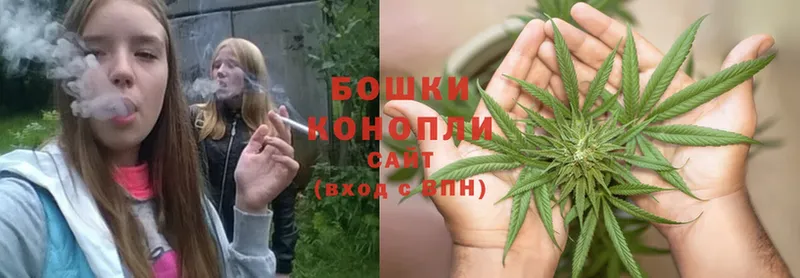 Марихуана OG Kush  МЕГА ссылки  Томск 